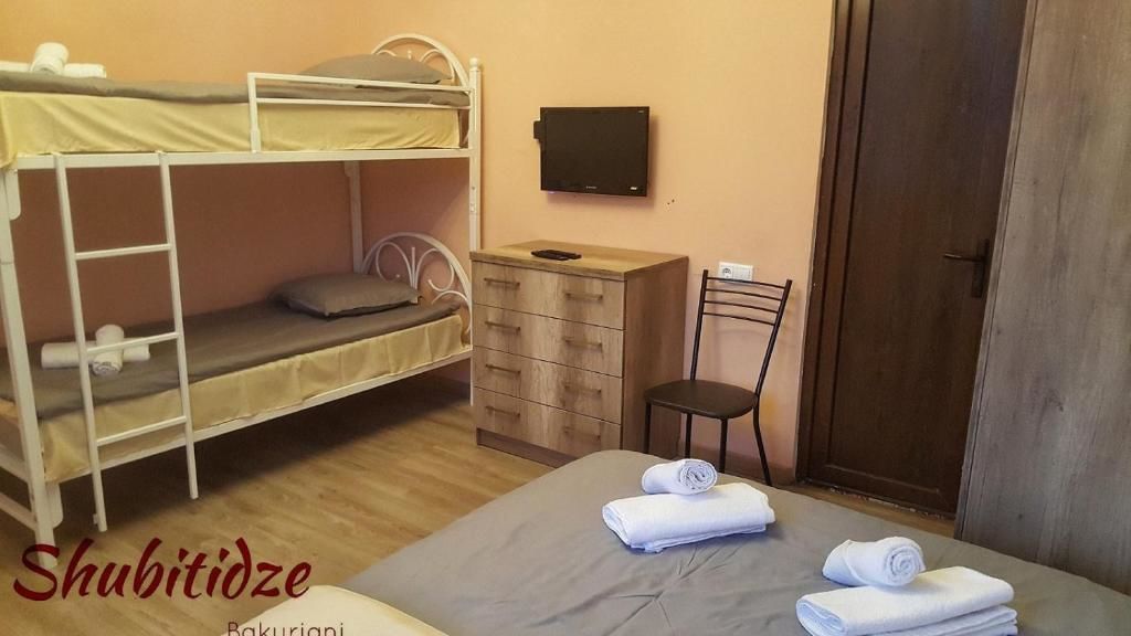 Отели типа «постель и завтрак» Hotel Shubitidze Бакуриани-33